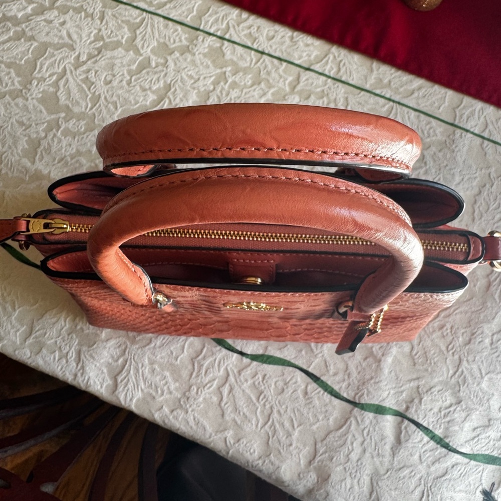 Coach Mini Sage Carryall - Picture 6 of 8